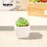 1Set Mini Potted Succulents Cactus Ceramics Bonsai Artificial Flower Fake Plants for Wedding Home Party Landscape Decorative