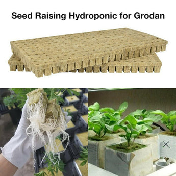 50pcs 25*25*40MM Rock Wool Cubes Compress Base Ventilative Hydroponic Grow Rockwool Cubes Soilless Cultivation Garden Supplies