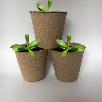 Plant Tray Cup 8*8cm Gardening Flowerpots Paper Tray Pulp Nursery Cup Degradable Flower Plate Plant Tray Garden Supplies