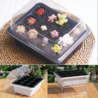 New Gardening Supply 12 Plant Hole Grow Box Plastic Plant Pot Family Nursery Container Propagation Nursery Seedling Starter Tray