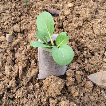 100 pcs Nursery Pots Seedling-Raising Bags Environmental non-woven fabrics Garden Supplies Garden Supplies Z