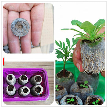 30mm  NURSERY Peat Pellets Jiffy Plant Seedling Starting Soil Block Home Transplanting Plugs for home Garden
