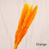 7Pcs/lot Bulrush Natural Dried Small Pampas Grass Phragmites Artificial Plants Wedding Flower Bunch for Home Decor Fake Flowers