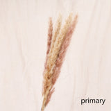 7Pcs/lot Bulrush Natural Dried Small Pampas Grass Phragmites Artificial Plants Wedding Flower Bunch for Home Decor Fake Flowers