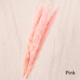 7Pcs/lot Bulrush Natural Dried Small Pampas Grass Phragmites Artificial Plants Wedding Flower Bunch for Home Decor Fake Flowers