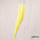 7Pcs/lot Bulrush Natural Dried Small Pampas Grass Phragmites Artificial Plants Wedding Flower Bunch for Home Decor Fake Flowers