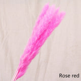 7Pcs/lot Bulrush Natural Dried Small Pampas Grass Phragmites Artificial Plants Wedding Flower Bunch for Home Decor Fake Flowers