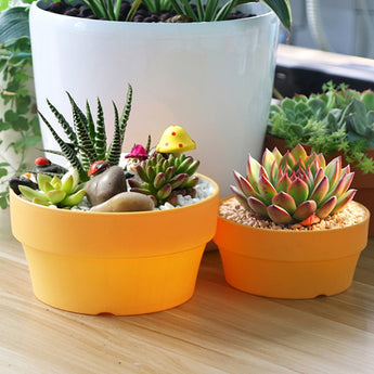 2Pcs Round Hollow Succulent Plants Flowerpots Garden Flowers Nursery Pots Home Decoration Supplies