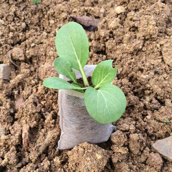 100PCS Household Non-woven Seedling Bag Garden Supplies Planting Bag Portable Seedling Container Bag 10*12cm 12*15cm 7*9cm
