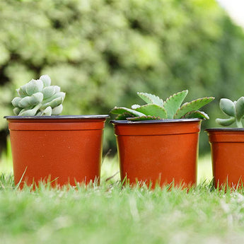 10pcs/Lot Plastic Plant Flower Pots Nursery Seedling Pot Lightweight Two-Tone Universal Soft Plant Container Garden Supplies
