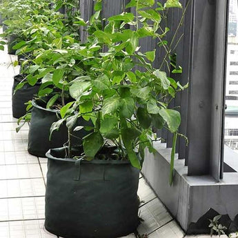 Vegetable Plant Grow Bag DIY Potato Grow Planter PE Cloth Tomato Planting Container Bag Thicken Garden Pot Garden Supplie