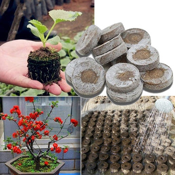 6PCS/Set Seed Nursery Block Starting Plugs Starter Nutrient Seeds Substance Seedling Planting Flowers Soil Block Garden Supplies