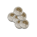 Seed Nursery Seedling Planting Flowers Soil Block Garden Supplies 6pcs Block Starting Plugs Starter Nutrient Seeds Substance