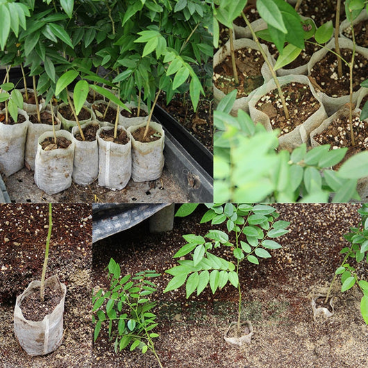Top Sale 100pcs/Pack Garden Supplies Environmental Protection Nursery Pots Seedling Raising Bags 8*10cm Fabrics